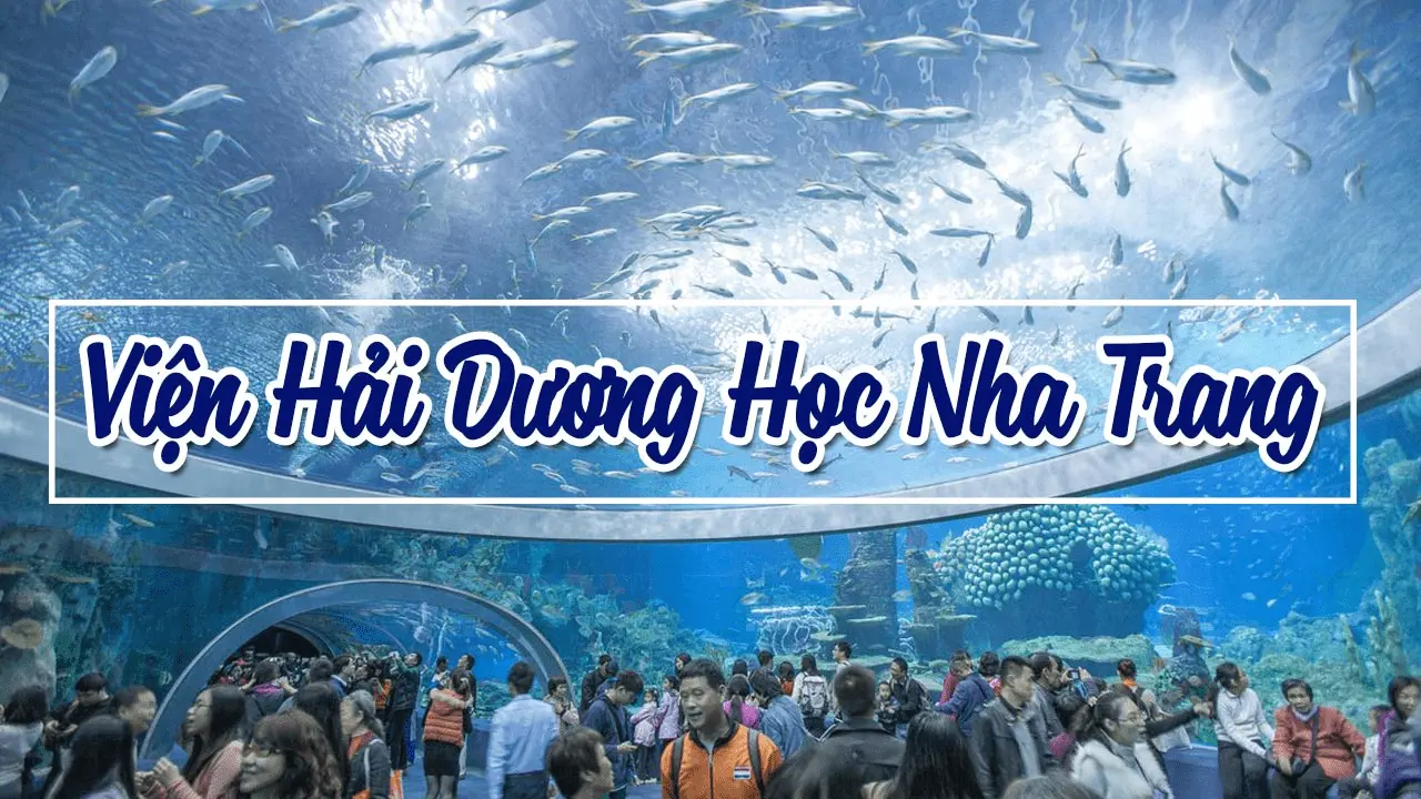 Viện Hải Dương Học